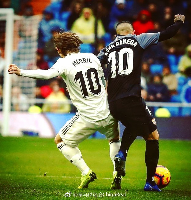 迁移的可复 迁移的可复