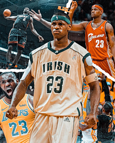 迅速提速转 迅速提速转